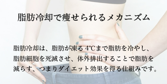 脂肪冷却とは