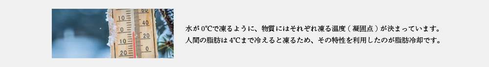 脂肪冷却について