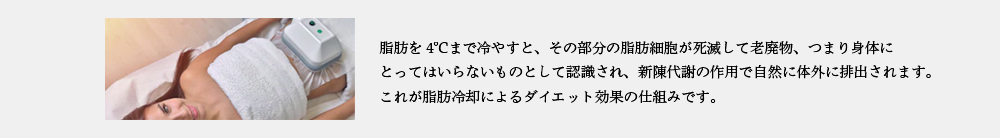 脂肪冷却について