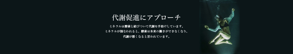 タラソテラピーアプローチ