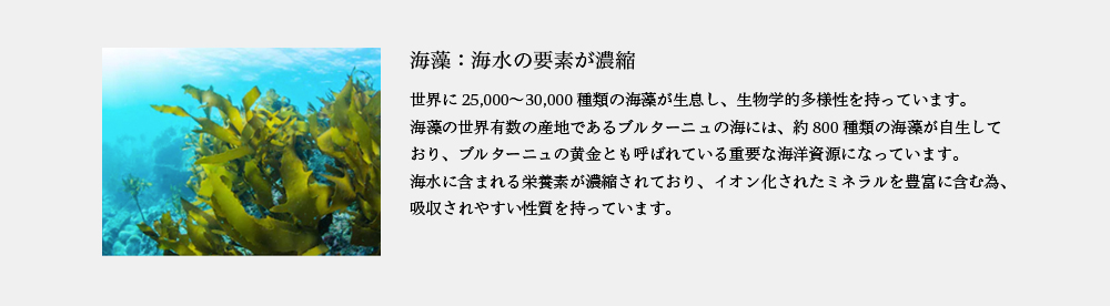 タラソテラピー２