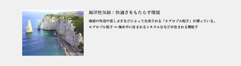 タラソテラピー４