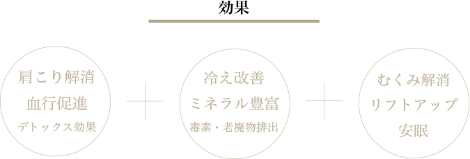 タラソテラピー効果図